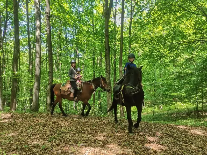 Huculské kone Tajomné karpaty
