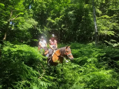 Jazda na koňoch Tajomné karpaty